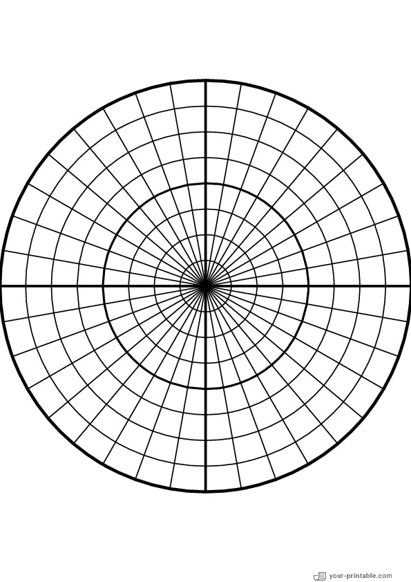 Blank Polar Graph Paper 10 Degrees black - 10073721